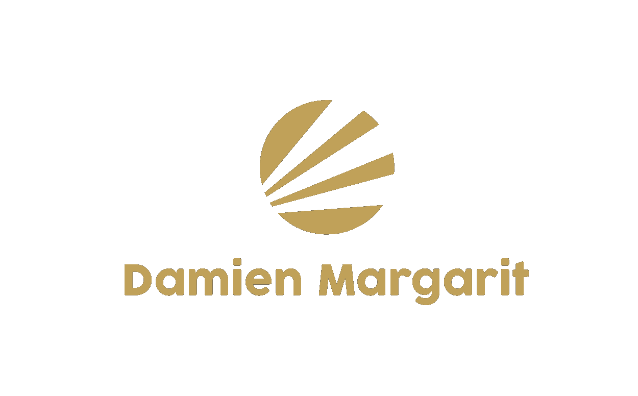 Logo Damien Margarit Formation
